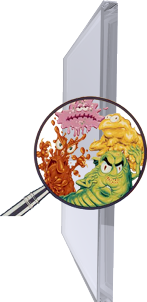 Glass Is Always Attached with Microorganism Such As Bacteria, Germs, Mold and Fungus Glass Is Always Attached with Microorganism Such As Bacteria, Germs, Mold and Fungus